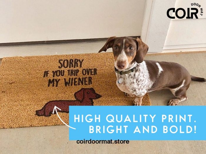 A Whole Pack Of Corgis Live Here / Custom Dog Door Mat / Funny Door Mat / Dog Lover Gift / Customized Dog Breed Doormat