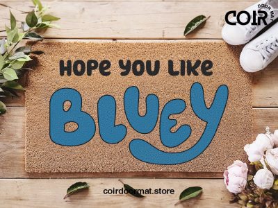 Bluey Doormat - Hope You Like Bluey - Funny Doormat - Bluey Disney - New Home Door Mat - Rita- Bingo