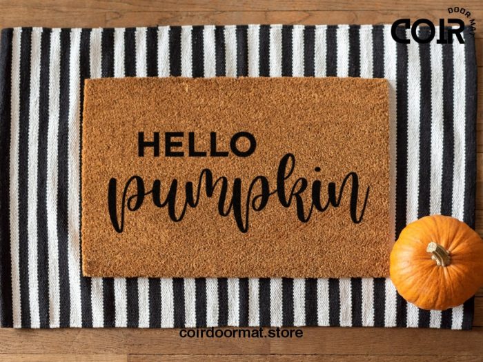 Hello Pumpkin Doormat - Fall Doormat - Welcome Mat - Hey There Door Mat - Seasonal Doormat - Fall Door Mat - Pumpkin Decor - Fall Decor