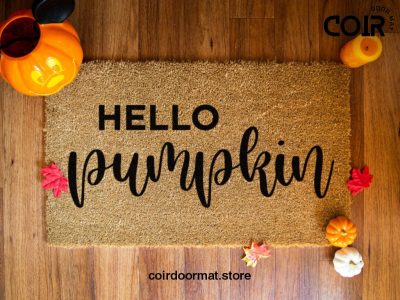 Hello Pumpkin Doormat - Fall Doormat - Welcome Mat - Hey There Door Mat - Seasonal Doormat - Fall Door Mat - Pumpkin Decor - Fall Decor