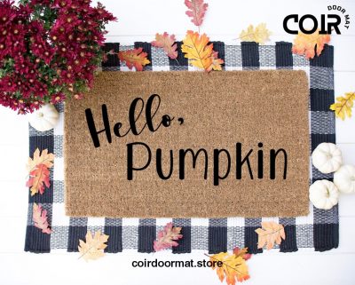 Hello Pumpkin, Welcome Mat, Entryway Rug, Doormat, Fall Doormat, Fall Decor, Under 60, Housewarming, Gifts for her, Best Friend Gift,Pumpkin