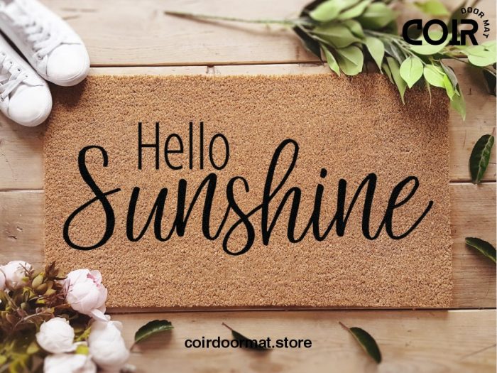 Hello Sunshine Doormat  - Custom Welcome Mat - Funny Gift  - Closing Gift - Custom Rug - Funny Doormat - New Home Gift