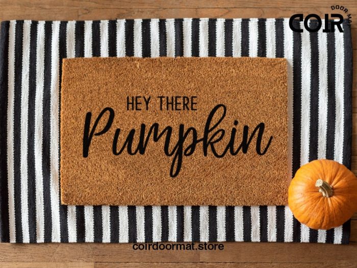 Hey There Pumpkin Doormat - Fall Doormat - Fall Decor - Hey There Door Mat - Fall Welcome Doormat - Porch Decorations - Welcome Mat