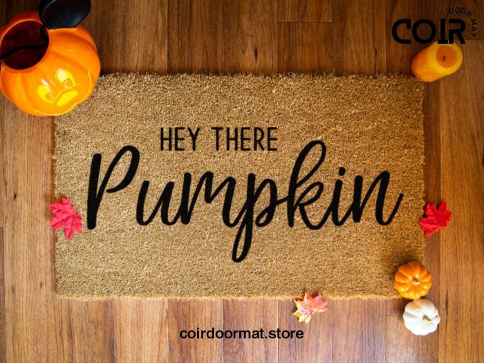 Hey There Pumpkin Doormat - Fall Doormat - Fall Decor - Hey There Door Mat - Fall Welcome Doormat - Porch Decorations - Welcome Mat