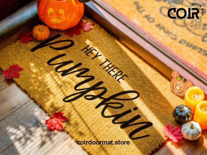 Hey There Pumpkin Doormat - Fall Doormat - Fall Decor - Hey There Door Mat - Fall Welcome Doormat - Porch Decorations - Welcome Mat