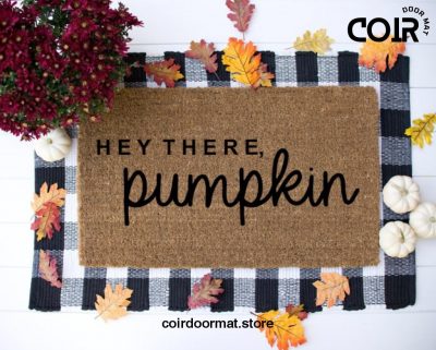 Hey There Pumpkin, Doormat, Welcome Mat, Entryway Rug, Gifts for her, For the home, Front Door, Front Porch, Housewarming, Fall Decor, Fall