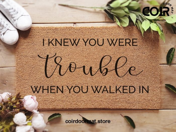 I Knew You Were Trouble When You Walked In Doormat - Lyrics Doormat - Funny Door Mat - Quote