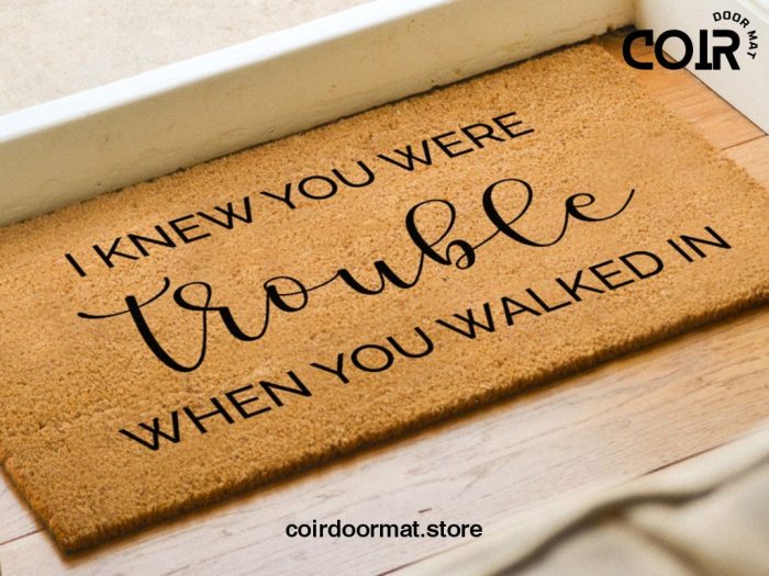 I Knew You Were Trouble When You Walked In Doormat - Lyrics Doormat - Funny Door Mat - Quote