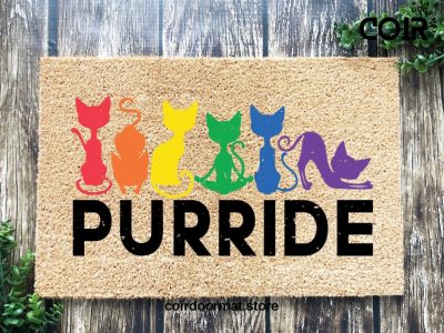 LGBTQ Doormat, Pride Doormat, Coir Doormat, Housewarming Gift, New Home Gift, Welcome Mat, Funny Cat Gifts, Cat Lover Gift, Outdoor Doormat