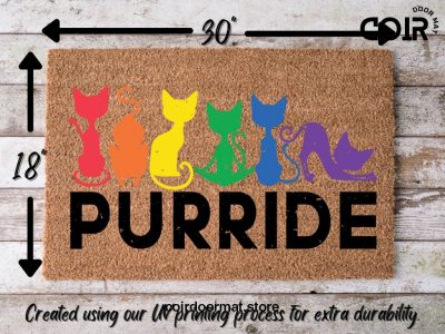 LGBTQ Doormat, Pride Doormat, Coir Doormat, Housewarming Gift, New Home Gift, Welcome Mat, Funny Cat Gifts, Cat Lover Gift, Outdoor Doormat