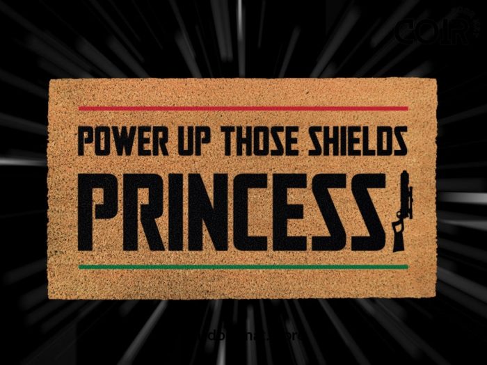 Power Up Those Shields Princess - Star Wars Gift- Boba Fett Doormat - Speak Freely - Bounty Hunter - Personalized Door Mat - Disney Doormat