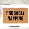 Probably Napping, Doormat, Welcome Mat, Entryway Rug, Front Porch Decor, Birthday Gift, Christmas Gift, Funny Doormat, Gifts for them, under