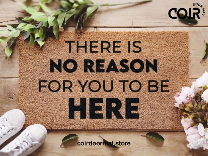 There Is No Reason For You To Be Here Door Mat - Funny Custom Doormat - Welcome Mat - Sassy Porch Decor - Gift Ideas