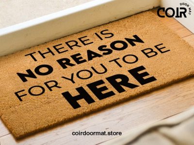 There Is No Reason For You To Be Here Door Mat - Funny Custom Doormat - Welcome Mat - Sassy Porch Decor - Gift Ideas