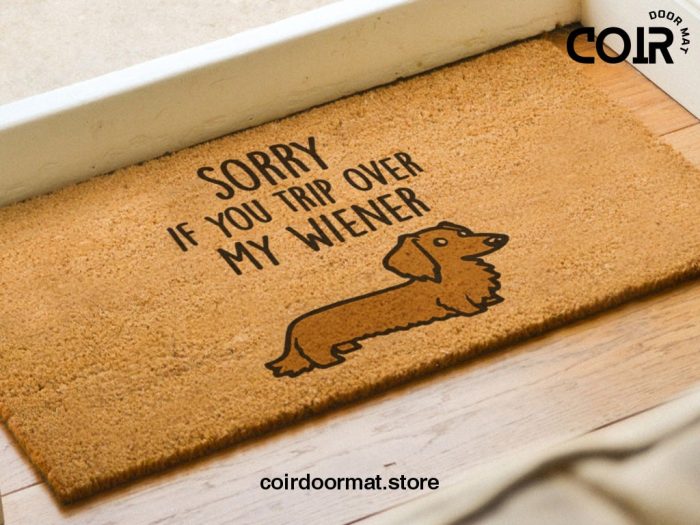 Weiner Doormat - Funny Gift - Dachshund Doormat - Funny Sausage Dog Doormat - Dog Lover Gift - Dog Welcome Mat